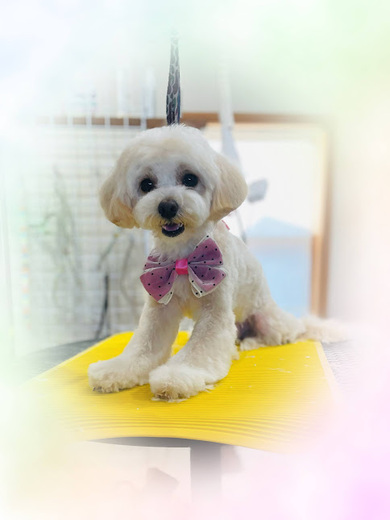 ふうちゃん♡
